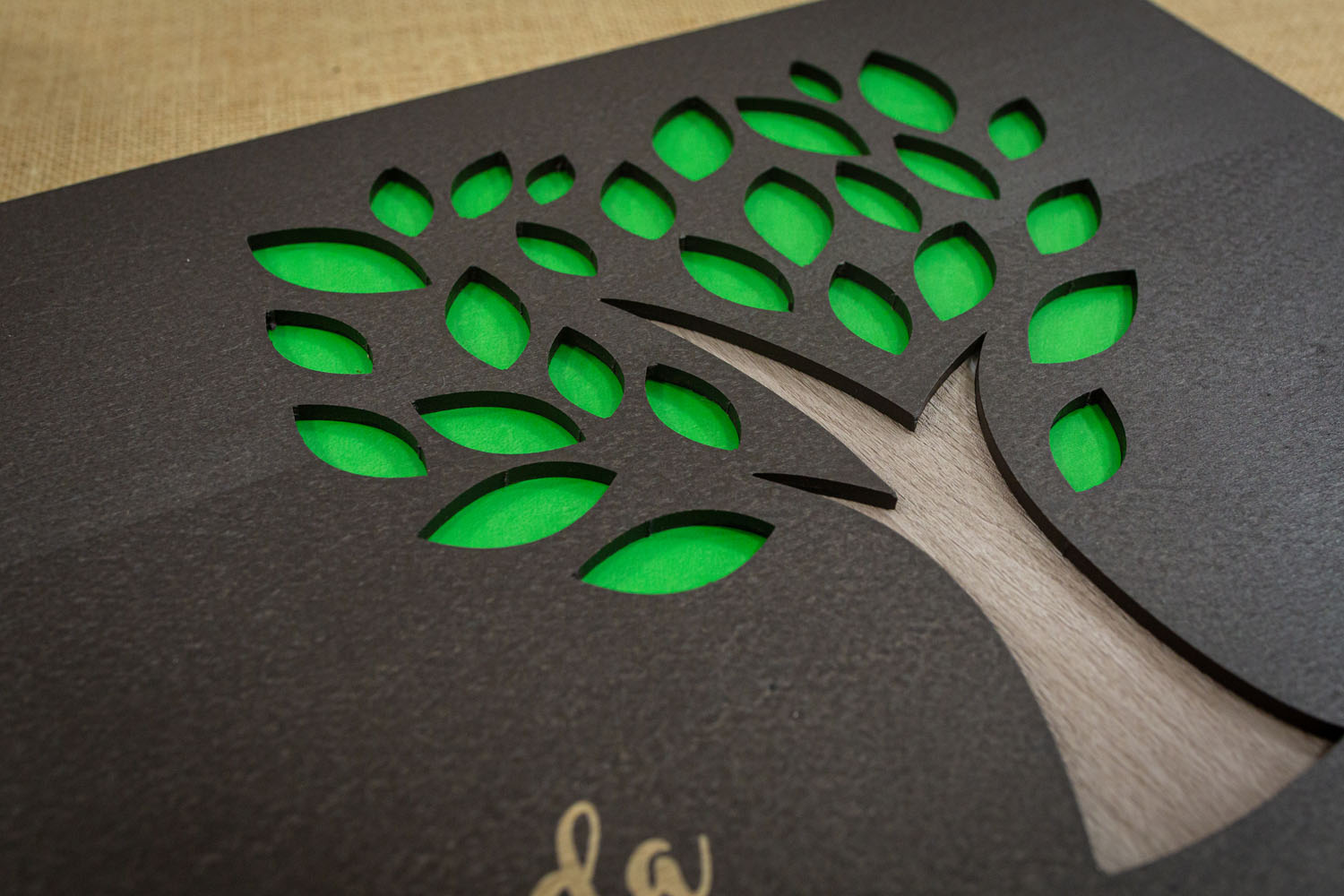 Álbum serie Rustica R01 - Imagen 3